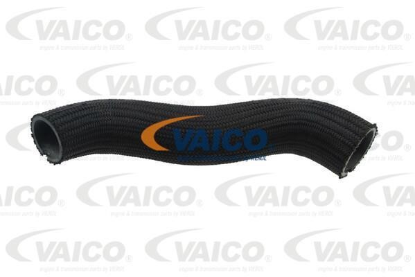 Vaico V401506 Charger Air Hose V401506: Buy near me in Poland at 2407.PL - Good price!