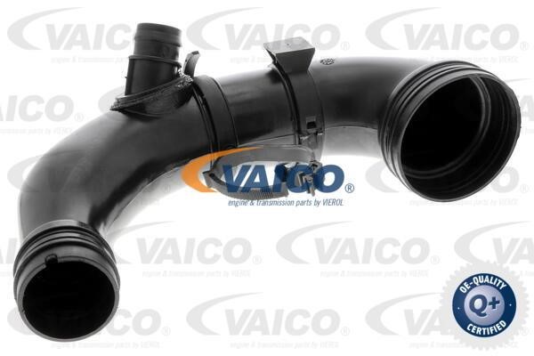 Vaico V240764 Charger Air Hose V240764: Buy near me in Poland at 2407.PL - Good price!