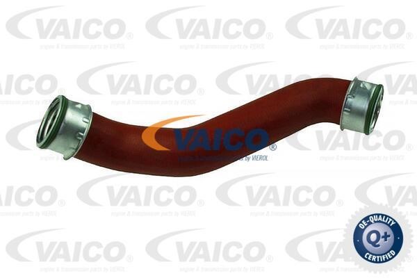 Vaico V104374 Charger Air Hose V104374: Buy near me in Poland at 2407.PL - Good price!