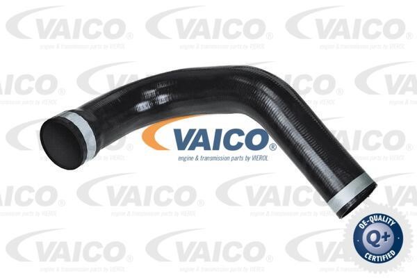 Vaico V420576 Charger Air Hose V420576: Buy near me in Poland at 2407.PL - Good price!