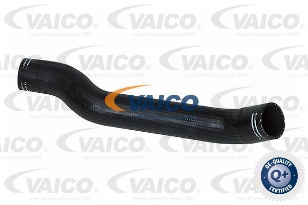 Vaico V240682 Патрубок турбокомпрессора V240682: Отличная цена - Купить в Польше на 2407.PL!