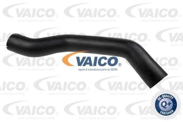 Vaico V240680 Charger Air Hose V240680: Buy near me in Poland at 2407.PL - Good price!