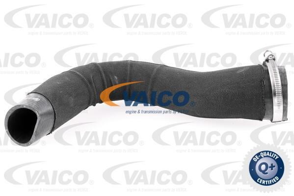 Vaico V480182 Charger Air Hose V480182: Buy near me in Poland at 2407.PL - Good price!