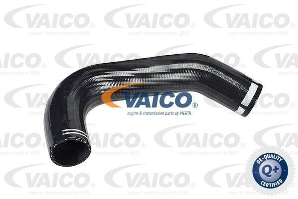 Vaico V420593 Charger Air Hose V420593: Buy near me in Poland at 2407.PL - Good price!