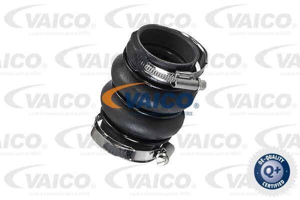 Vaico V420575 Charger Air Hose V420575: Buy near me in Poland at 2407.PL - Good price!