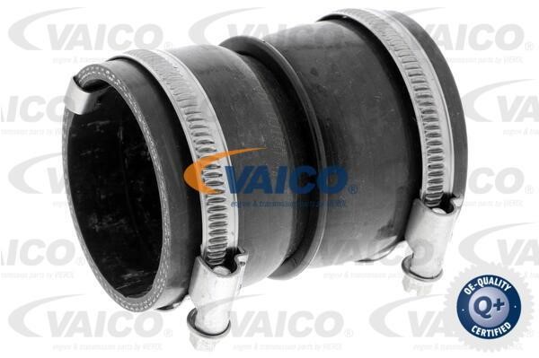 Vaico V420602 Charger Air Hose V420602: Buy near me in Poland at 2407.PL - Good price!