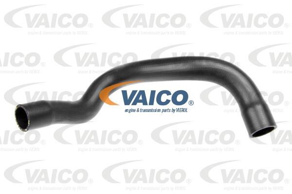 Vaico V10-5732 Kühlerschlauch V105732: Kaufen Sie zu einem guten Preis in Polen bei 2407.PL!