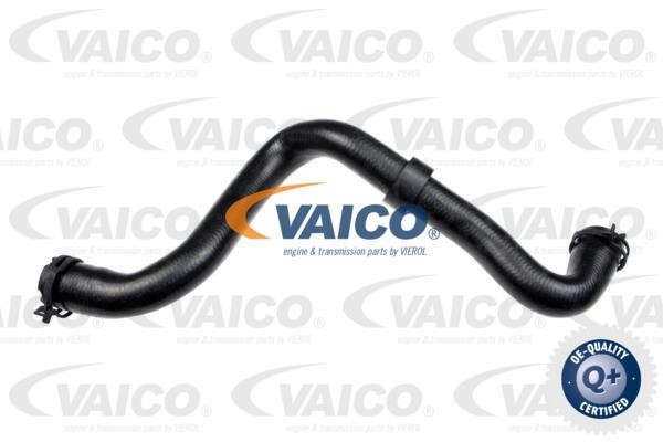 Vaico V25-1501 Radiator hose V251501: Buy near me in Poland at 2407.PL - Good price!