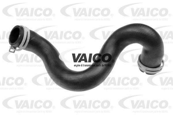 Vaico V25-1982 Radiator hose V251982: Buy near me in Poland at 2407.PL - Good price!