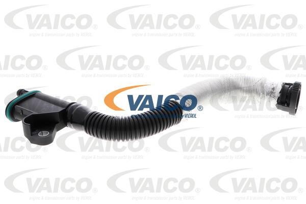 Vaico V10-5579 Schlauch, Kurbelgehäuseentlüftung V105579: Kaufen Sie zu einem guten Preis in Polen bei 2407.PL!