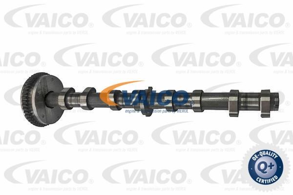 Vaico V10-5585 Camshaft Adjuster V105585: Buy near me in Poland at 2407.PL - Good price!