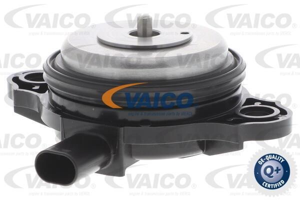Vaico V20-3666 Центральний магніт, регулювання фаз газорозподілу V203666: Приваблива ціна - Купити у Польщі на 2407.PL!