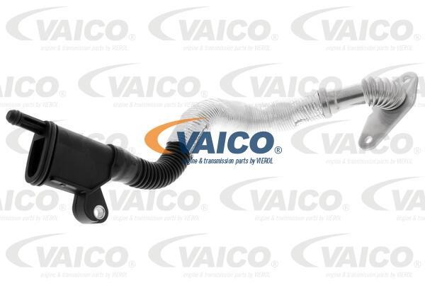 Vaico V10-5459 Шланг, вентиляция картера V105459: Отличная цена - Купить в Польше на 2407.PL!