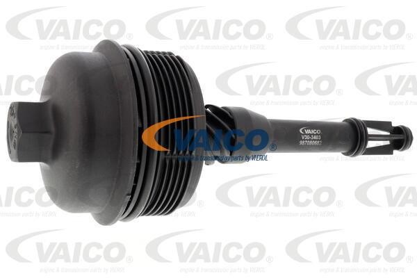 Vaico V30-3403 Cap, oil filter housing V303403: Buy near me in Poland at 2407.PL - Good price!