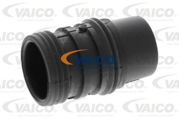 Vaico V30-3641 Трубка охлаждающей жидкости V303641: Отличная цена - Купить в Польше на 2407.PL!