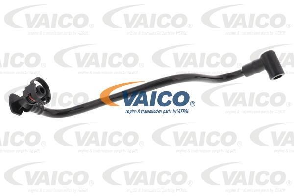 Vaico V10-6642 Hose, crankcase breather V106642: Buy near me in Poland at 2407.PL - Good price!