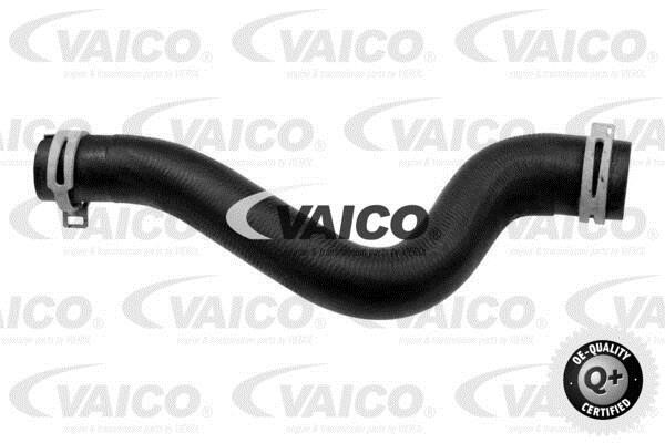 Vaico V22-0742 Radiator hose V220742: Buy near me in Poland at 2407.PL - Good price!
