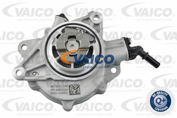Vaico V20-4077 Vacuum Pump, braking system V204077: Buy near me in Poland at 2407.PL - Good price!