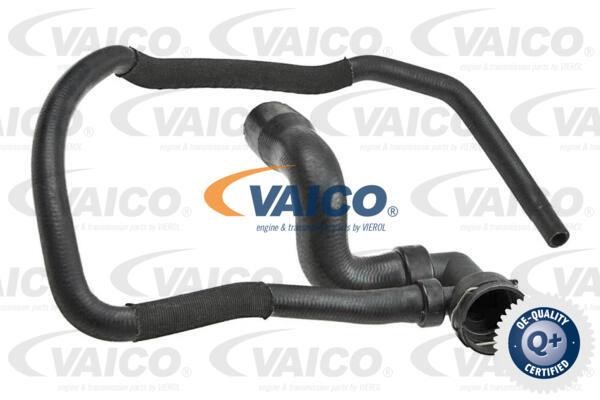 Vaico V40-1608 Шланг радиатора V401608: Отличная цена - Купить в Польше на 2407.PL!