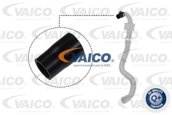 Vaico V460827 Charger Air Hose V460827: Buy near me at 2407.PL in Poland at an Affordable price!