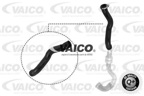 Vaico V210025 Charger Air Hose V210025: Buy near me in Poland at 2407.PL - Good price!