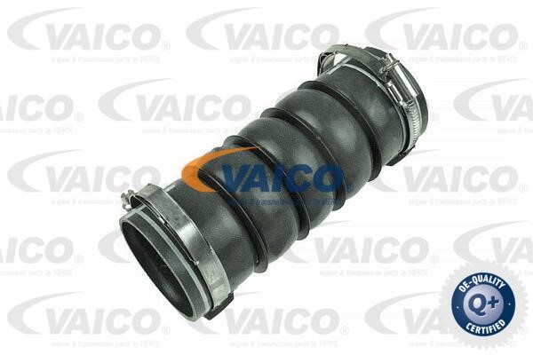 Vaico V420614 Charger Air Hose V420614: Buy near me in Poland at 2407.PL - Good price!