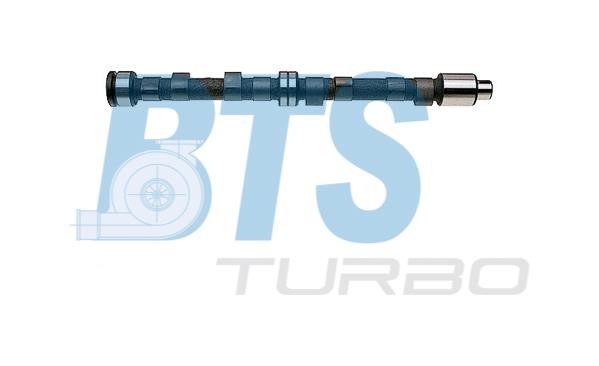 BTS Turbo CP11103 Nockenwelle CP11103: Bestellen Sie in Polen zu einem guten Preis bei 2407.PL!