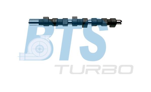 BTS Turbo CP16393 Вал распределительный CP16393: Отличная цена - Купить в Польше на 2407.PL!
