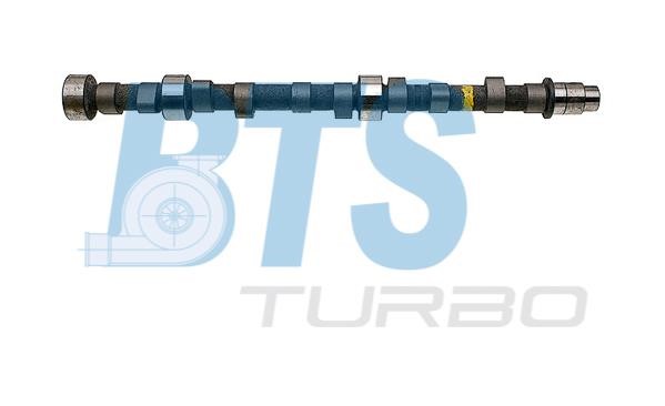 BTS Turbo CP11904 Вал розподільчий CP11904: Приваблива ціна - Купити у Польщі на 2407.PL!