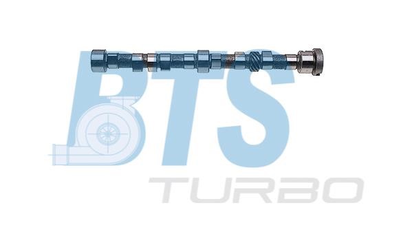 BTS Turbo CP11106 Вал розподільчий CP11106: Приваблива ціна - Купити у Польщі на 2407.PL!