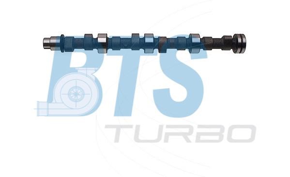 BTS Turbo CP11960 Nockenwelle CP11960: Kaufen Sie zu einem guten Preis in Polen bei 2407.PL!