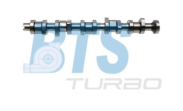 BTS Turbo CP10258 Nockenwelle CP10258: Kaufen Sie zu einem guten Preis in Polen bei 2407.PL!