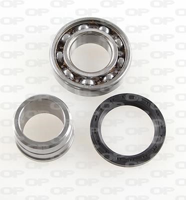 Open parts HBK5187.00 Wheel bearing kit HBK518700: Buy near me in Poland at 2407.PL - Good price!