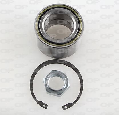 Open parts HBK5066.01 Wheel bearing kit HBK506601: Buy near me in Poland at 2407.PL - Good price!