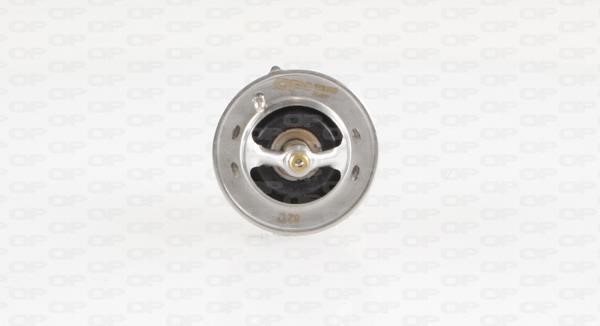 Open parts TRM1029.00 Thermostat, coolant TRM102900: Buy near me in Poland at 2407.PL - Good price!