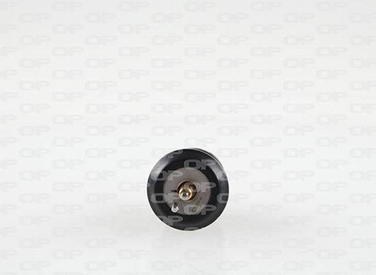 Open parts TRM1125.00 Thermostat, coolant TRM112500: Buy near me in Poland at 2407.PL - Good price!