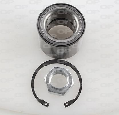 Open parts HBK5105.01 Wheel bearing kit HBK510501: Buy near me in Poland at 2407.PL - Good price!
