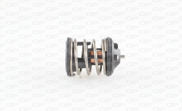 Open parts TRM1022.00 Thermostat, coolant TRM102200: Buy near me in Poland at 2407.PL - Good price!