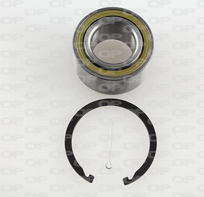 Open parts HBK5193.01 Wheel bearing kit HBK519301: Buy near me in Poland at 2407.PL - Good price!