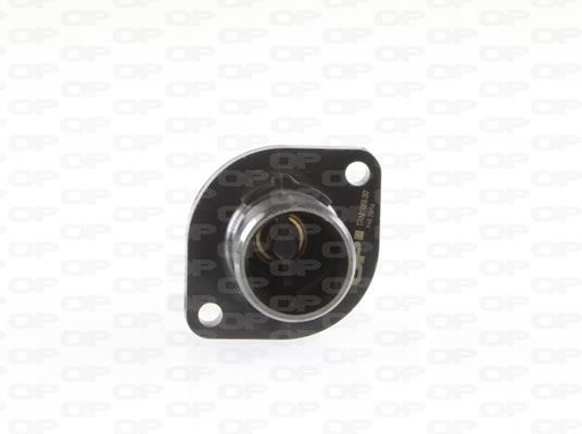 Open parts TRM1069.00 Thermostat, coolant TRM106900: Buy near me in Poland at 2407.PL - Good price!