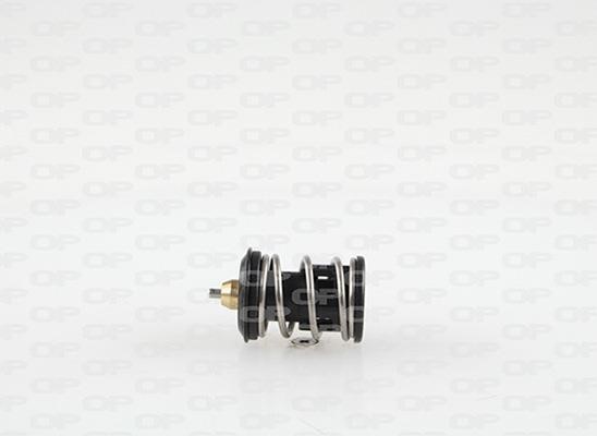Open parts TRM1131.00 Thermostat, coolant TRM113100: Buy near me in Poland at 2407.PL - Good price!