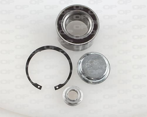 Open parts HBK5045.01 Wheel bearing kit HBK504501: Buy near me in Poland at 2407.PL - Good price!