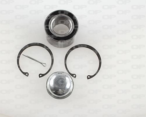 Open parts HBK5036.01 Wheel bearing kit HBK503601: Buy near me in Poland at 2407.PL - Good price!