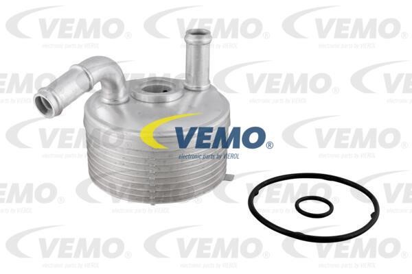 Vemo V20-60-1560 Chłodnica oleju, automatyczna przekładnia V20601560: Dobra cena w Polsce na 2407.PL - Kup Teraz!