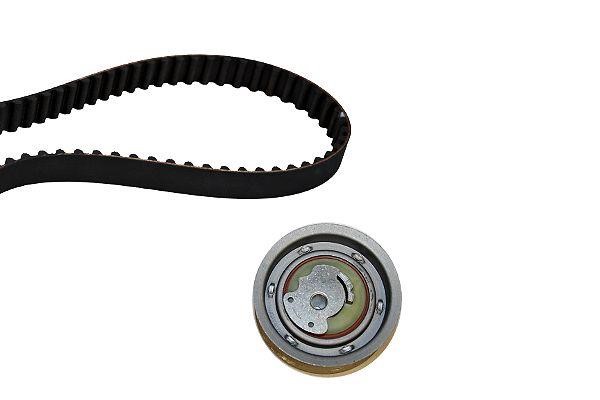 Hepu 20-1369 Timing Belt Kit 201369: Buy near me at 2407.PL in Poland at an Affordable price!