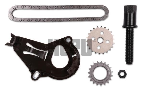 Hepu 21-0611 CHAIN OIL PUMP 210611: Buy near me in Poland at 2407.PL - Good price!