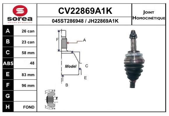 EAI CV22869A1K Joint kit, drive shaft CV22869A1K: Buy near me in Poland at 2407.PL - Good price!