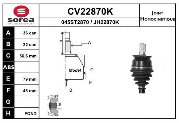 EAI CV22870K Joint kit, drive shaft CV22870K: Buy near me in Poland at 2407.PL - Good price!