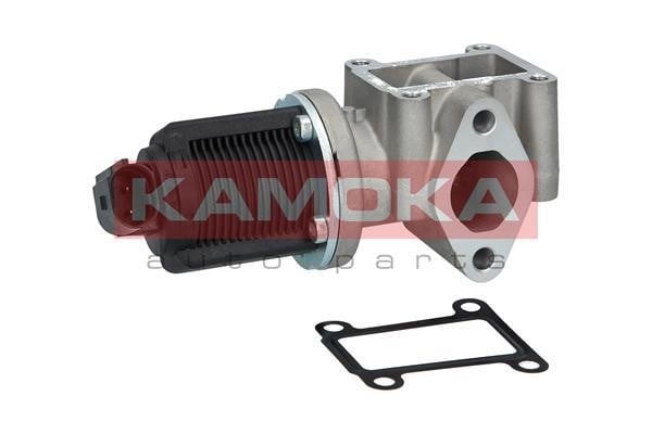 Kamoka 19013 EGR Valve 19013: Buy near me at 2407.PL in Poland at an Affordable price!