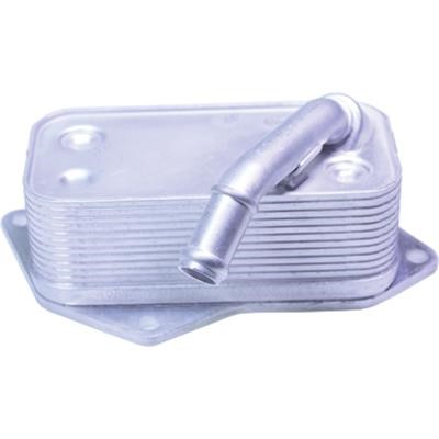 Birth 80121 Oil cooler 80121: Buy near me in Poland at 2407.PL - Good price!